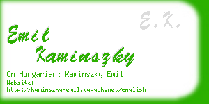 emil kaminszky business card